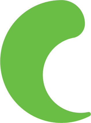 Asset 4